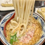 Marugame Seimen - 麺しっかりーーー！からむーーー！