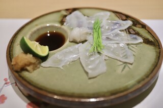 Shibuya Fugu Tatsu - 