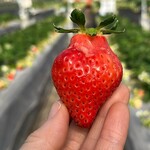 姫路ハートフル観光農園 - 