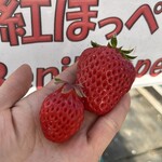 姫路ハートフル観光農園 - 