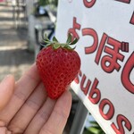 姫路ハートフル観光農園 - 