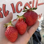 姫路ハートフル観光農園 - 