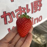 姫路ハートフル観光農園 - 