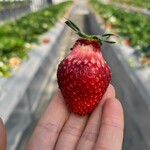 姫路ハートフル観光農園 - 