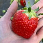 姫路ハートフル観光農園 - 