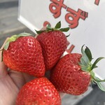 姫路ハートフル観光農園 - 