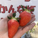 姫路ハートフル観光農園 - 