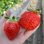 姫路ハートフル観光農園 - 