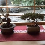 mohenro chaya - 店内から見える風景です