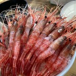 マルトマ食堂 - 