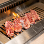 USHIGORO S. - 特選ハラミ