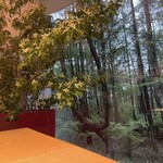 八ヶ岳 えさき - 