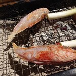 広丞庵　かのか - カサゴ♪焼かれている