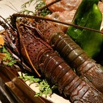 広丞庵　かのか - 伊勢海老♪