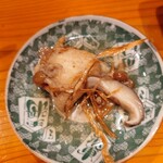 コンペイトウ - 