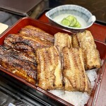 Chiyaki Unagi Hirasawa - 