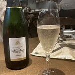 裏の山の木の子 - 