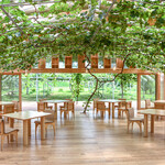 レストランぶどうの森 レ・トネル - 