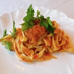 イタリア料理 ミロ - 料理写真:手打ち生パスタ：タリアテッレ・伊産ポルチーニソース