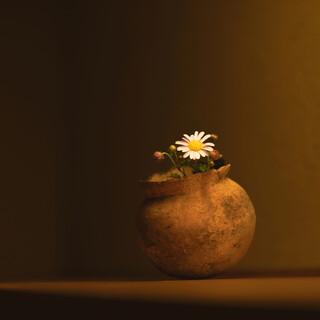 静寂に包まれたカウンターで、ただ料理と向き合う