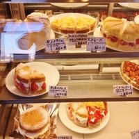 カンパーニュ - 