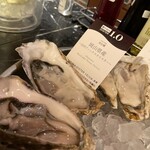 THE CAVE DE OYSTER - 