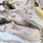 ニュー貝殻荘 - 