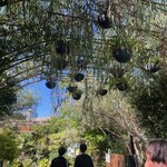 Little Darling Coffee Roasters - 