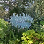 Little Darling Coffee Roasters - 