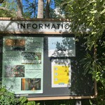 Little Darling Coffee Roasters - 