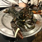 レッドロブスター アクアシティお台場店 - 