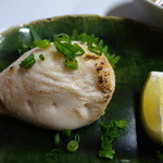 ふじ木 - 白子ちゃん