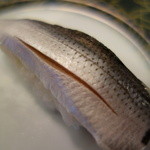 コハダ！（\130）美味しい～