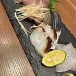 Kuzushi Kappou Komajiro - 