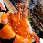 札幌海鮮丼専門店 すしどんぶり - 