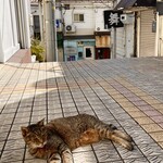 Homemade Ramen 麦苗 - 