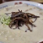 博多元気一杯!! - 