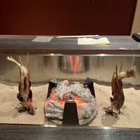銀座方舟 大吟醸いろり店 - 