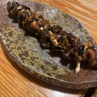 大江戸 南青山店 - 