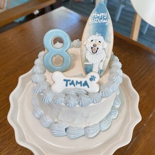 Perfect for your dog's birthday ♪ Birthday cake & icing cookies