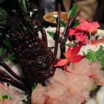 卯夢 - 活伊勢海老アップ