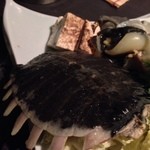 卯夢 - すっぽん甲羅