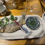 小川の魚 - 