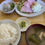 Tokiwa Shokudou - ハムサラダ　しらすおろし　ライス、味噌汁つき
