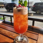 Runam Đồng Khởi - Tra Berry ởi hỏng 