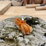 本間勝維 - 赤貝（山口）