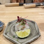 本間勝維 - 天然とらふぐ（長崎）、あん肝ポン酢