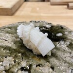 本間勝維 - 槍イカ