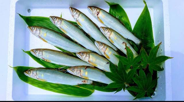 Izakaya Musashi to Sanpei