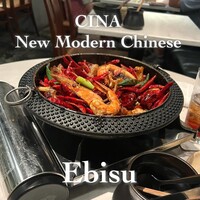 CINA New Modern Chinese - 